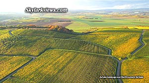 far view above vineyards in autumn